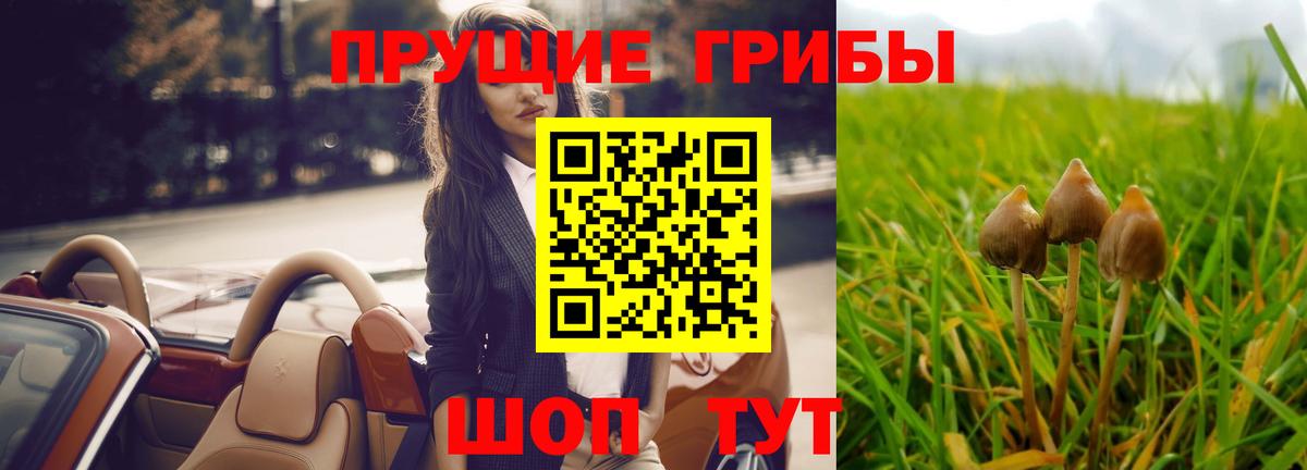Галлюциногенные грибы MAGIC MUSHROOMS  Псилоцибиновые грибы MAGIC MUSHROOMS  Саки  Вход с VPN 